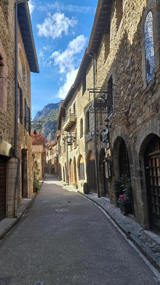 Maison Les Ramparts Villefranche-de-Conflent Buitenkant foto